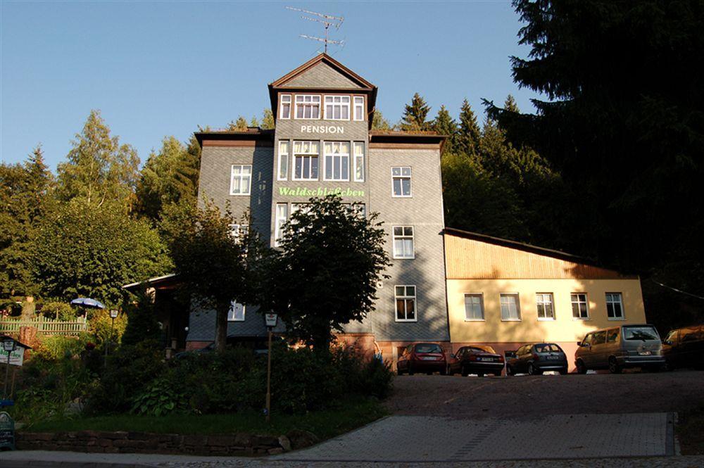 Waldschlosschen Otel Finsterbergen Dış mekan fotoğraf